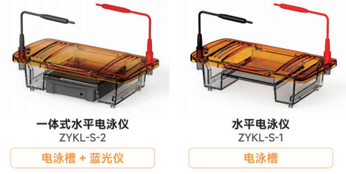 ZYKL-S-1 / ZYKL-S-2 一体式水平电泳仪