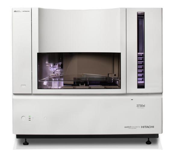 3730 / 3730XL 高通量基因分析仪